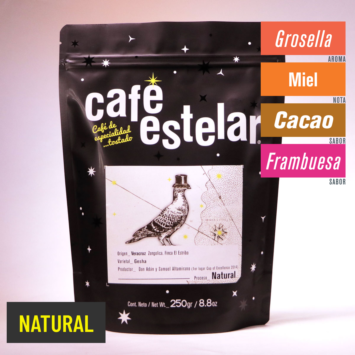 Café Veracruz - El Estribo Gesha - Natural