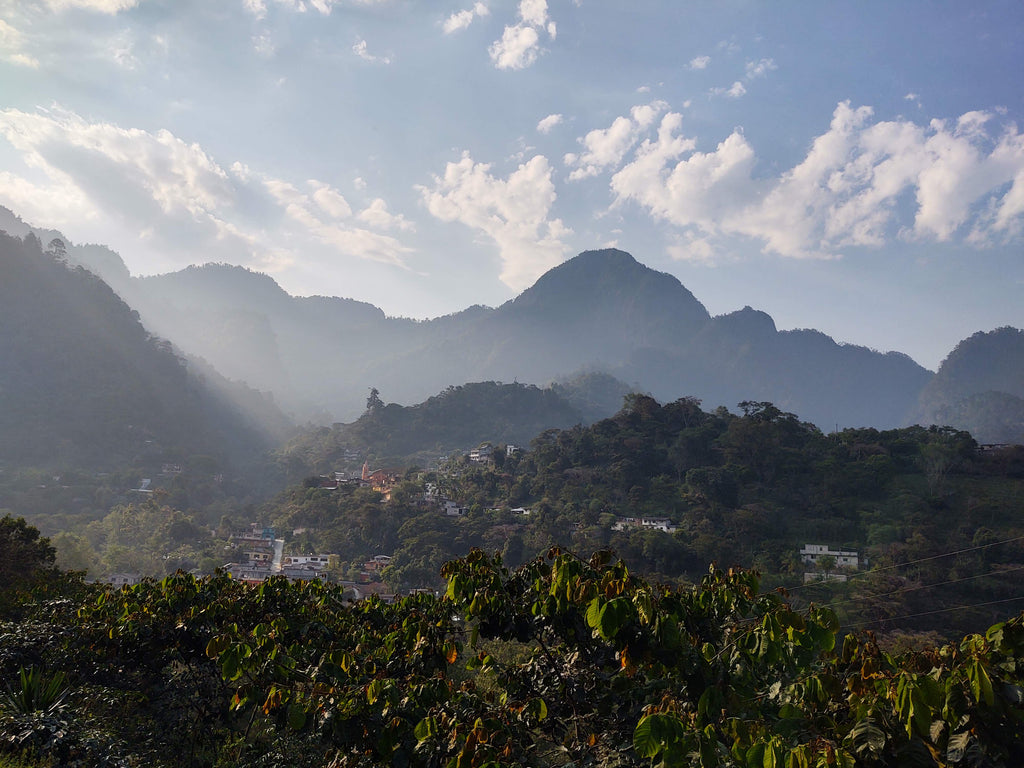 Finca El Río