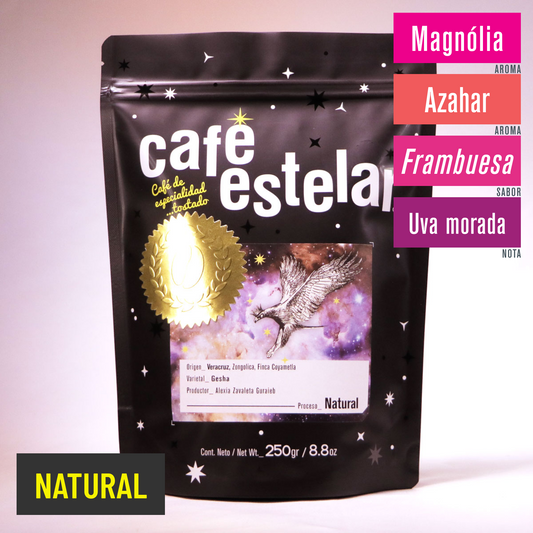 Café Veracruz - Coyametla Gesha - Natural