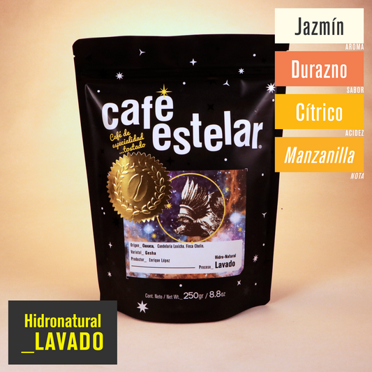 Café Oaxaca - Chelín Gesha - Hidronatural Lavado