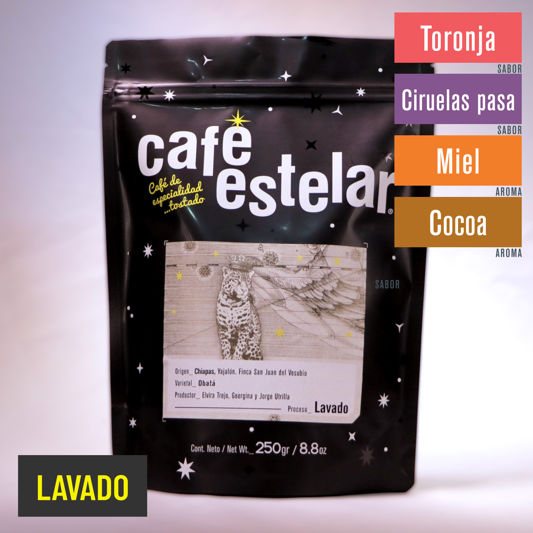 CaféChiapas-Yajalón-FincaSanJuandelVesubio-Obatá-Lavado